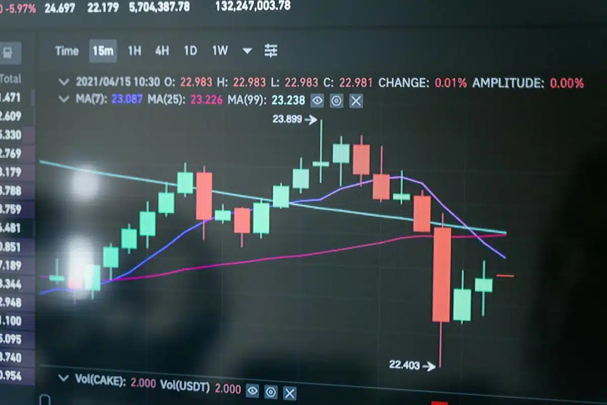 cryptomonnaie  croissance